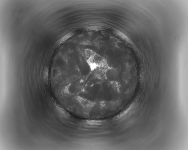 X0000086920825200704301055