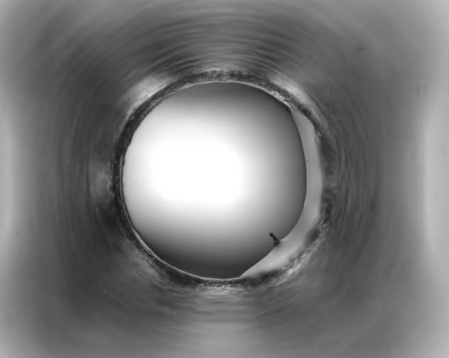 X0000086920826200704301055