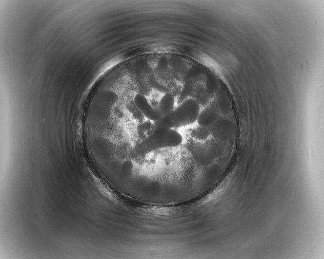 X0000086920827200704301055