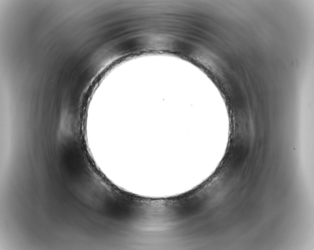 X0000086920828200704301055