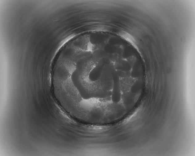 X0000086920829200704301055