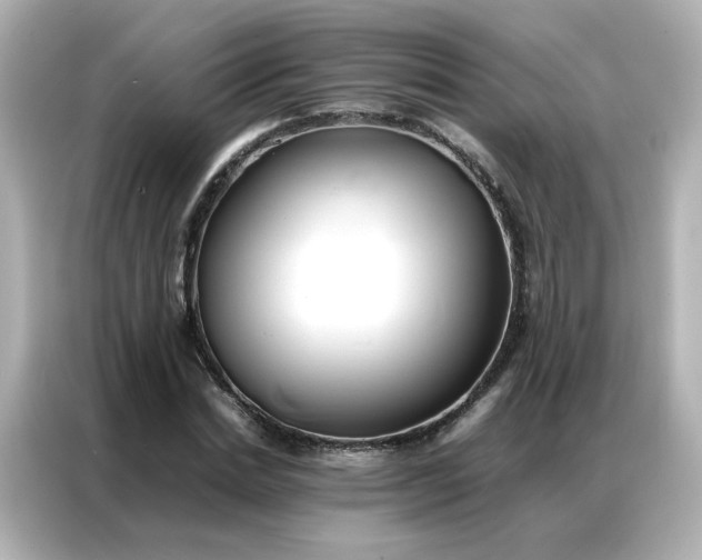 X0000086920830200704301055