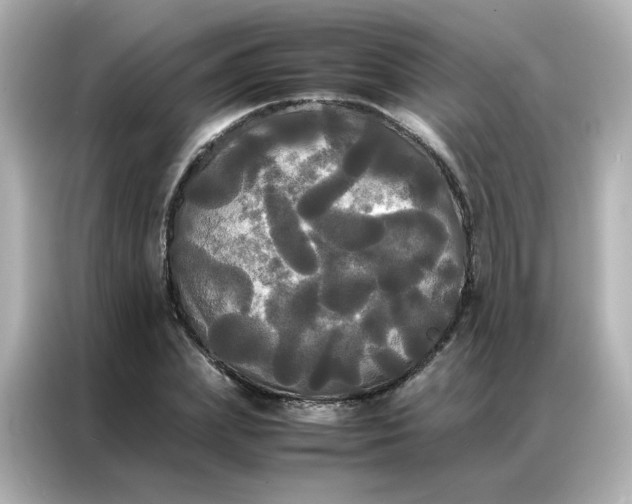 X0000086920831200704301055