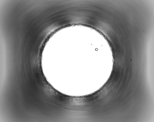 X0000086920832200704301055