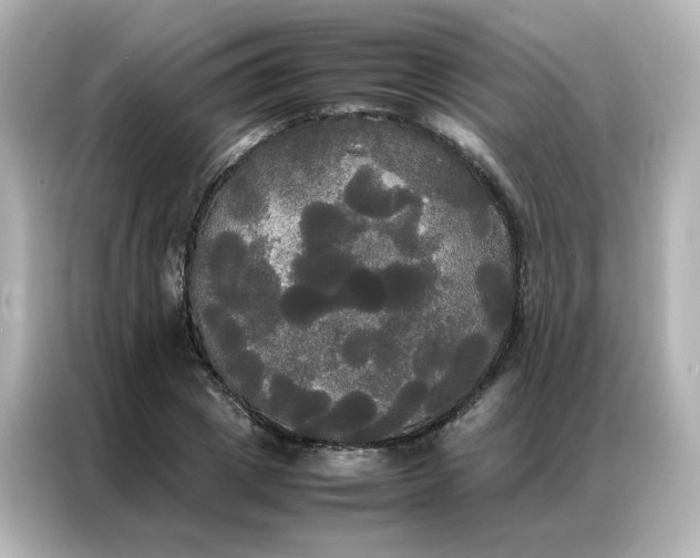 X0000086920833200704301055