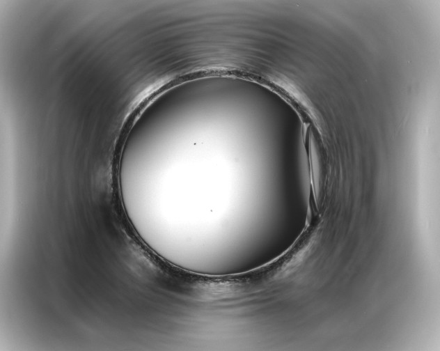 X0000086920834200704301055