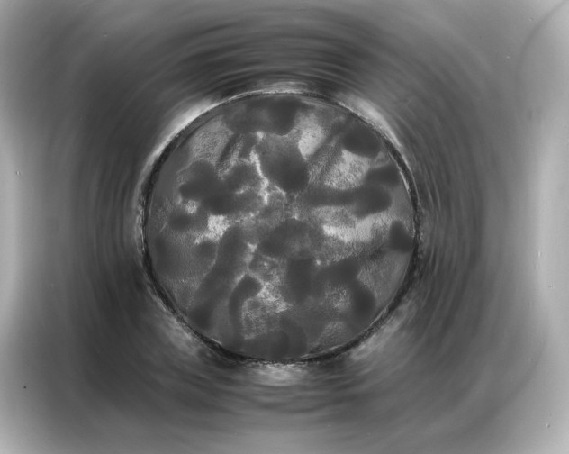 X0000086920835200704301055
