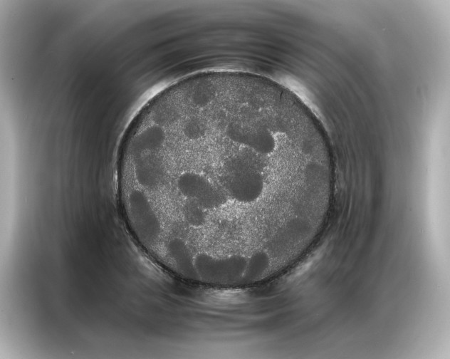 X0000086920837200704301055