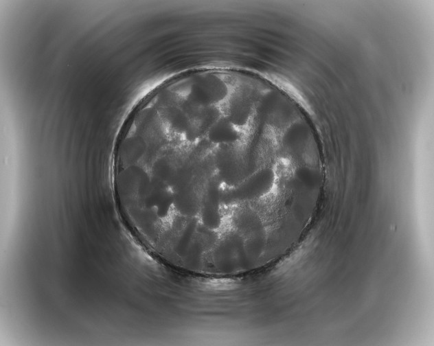X0000086920839200704301055