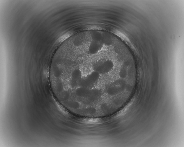 X0000086920841200704301055