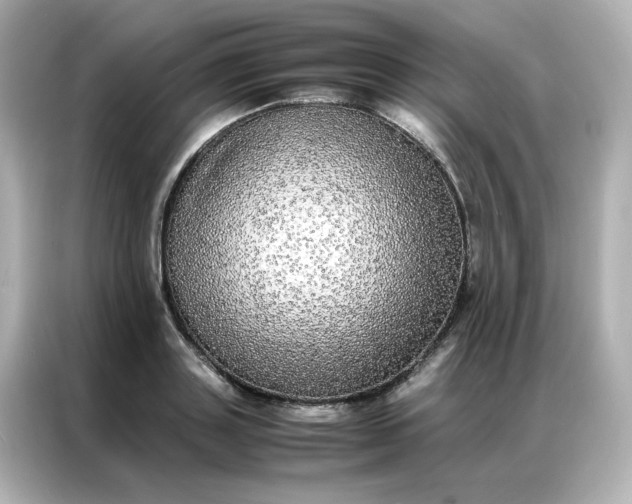 X0000086920843200704301055