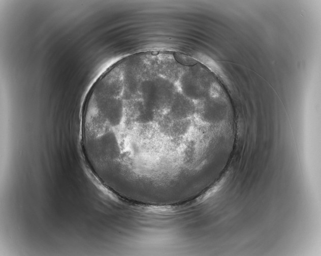 X0000086920844200704301055