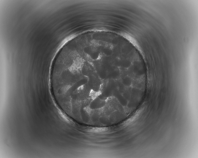X0000086920845200704301055