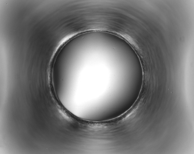 X0000086920846200704301055