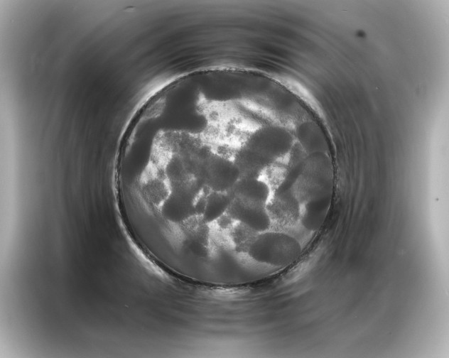 X0000086920847200704301055