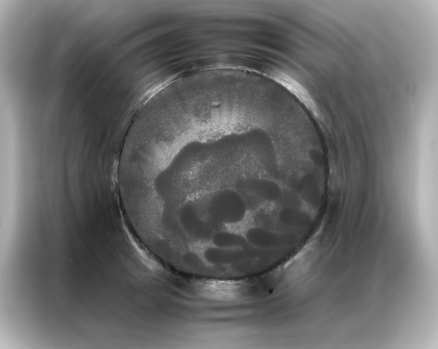 X0000086920849200704301055