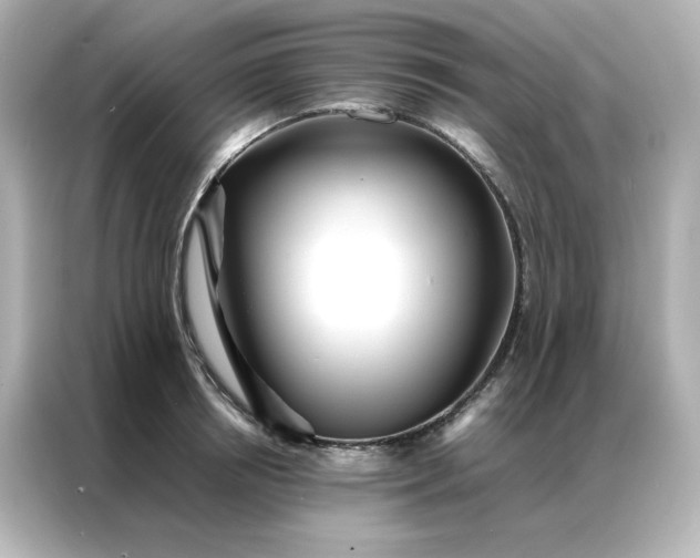 X0000086920850200704301055
