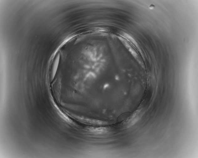 X0000086920851200704301056