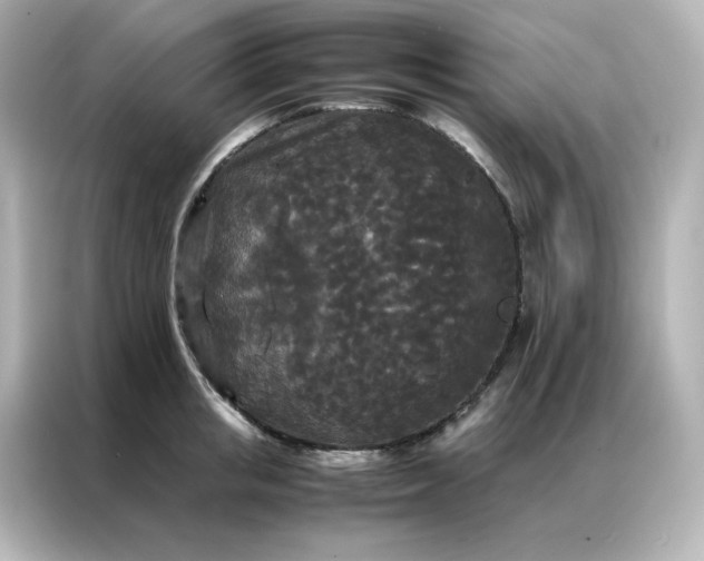X0000086920853200704301056
