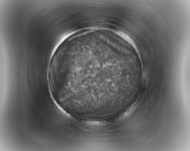 X0000086920855200704301056