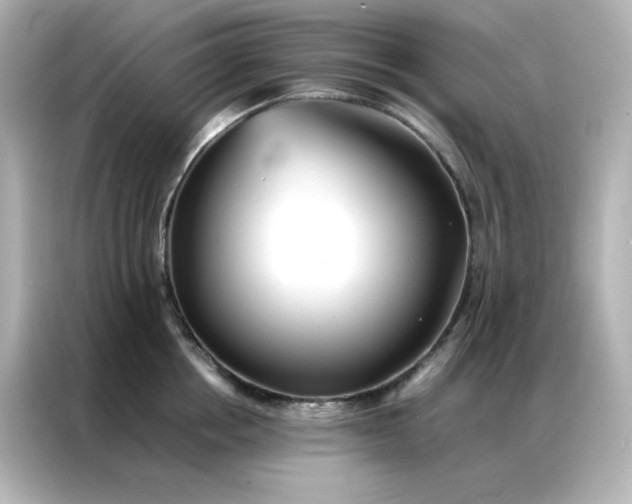 X0000086920858200704301056