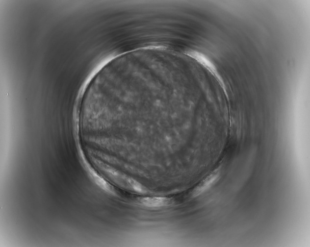 X0000086920859200704301056