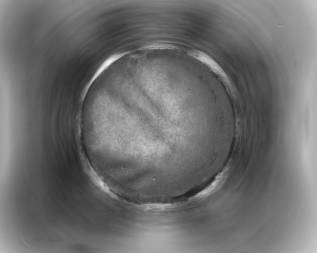 X0000086920860200704301056