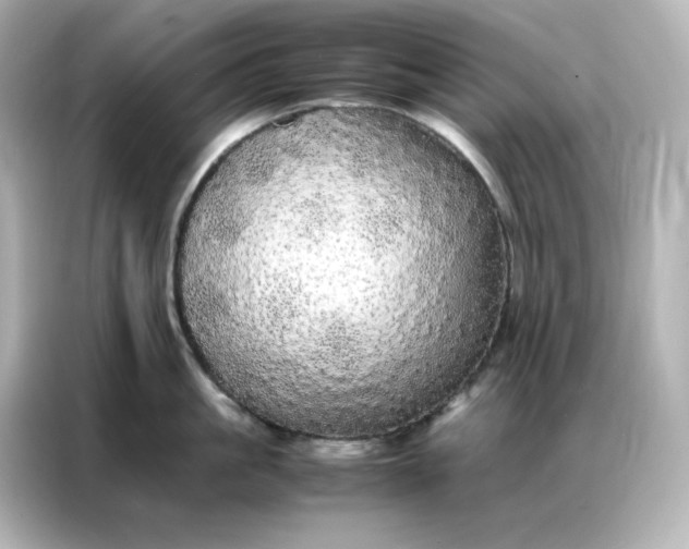 X0000086920861200704301056