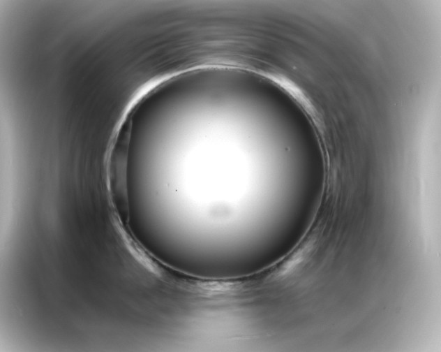 X0000086920862200704301056