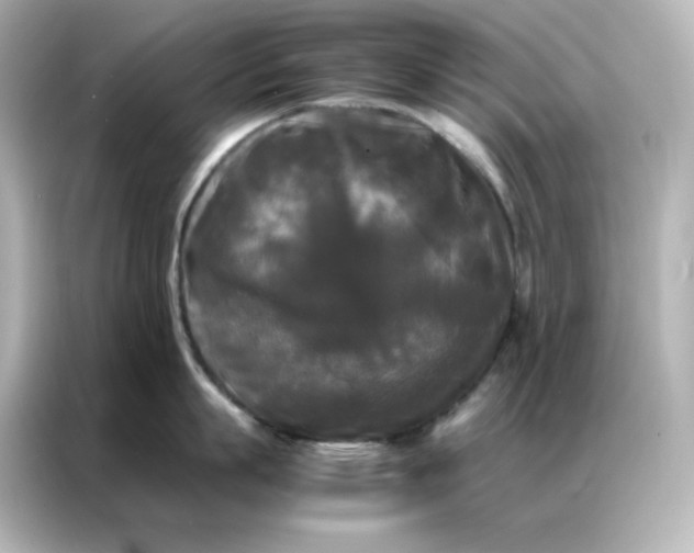 X0000086920863200704301056