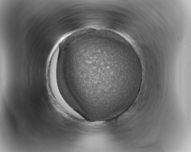 X0000086920864200704301056