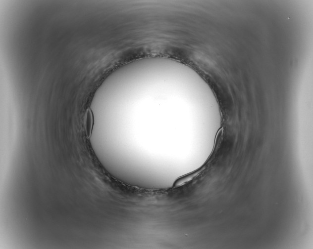 X0000086920865200704301055