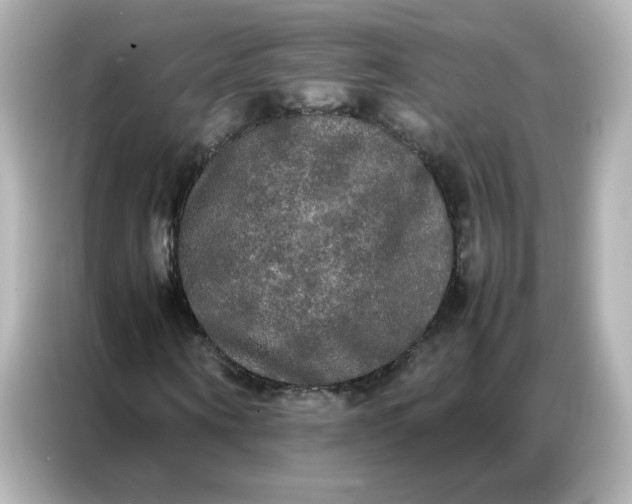 X0000086920866200704301055