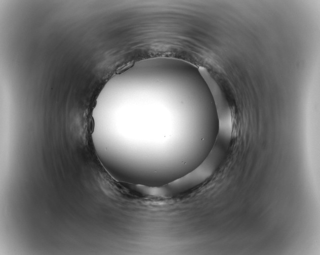 X0000086920868200704301055