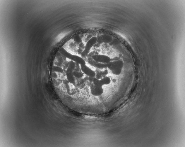X0000086920871200704301055