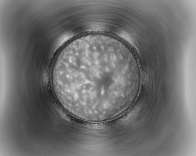 X0000086920874200704301055