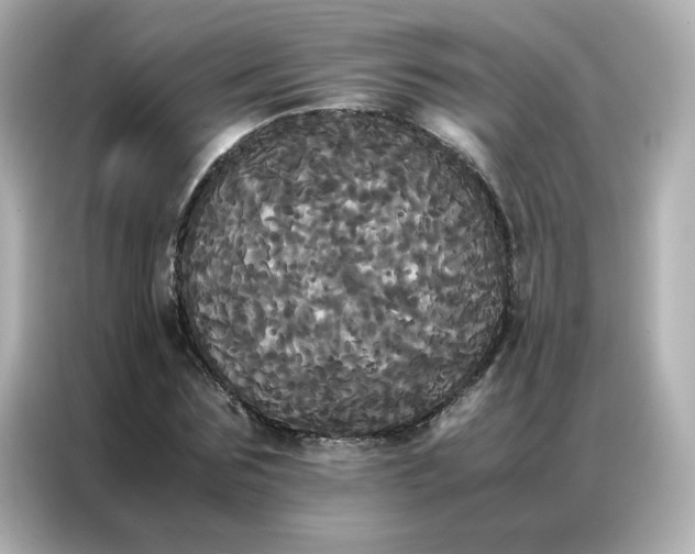 X0000086920875200704301055