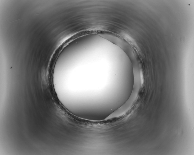 X0000086920876200704301055