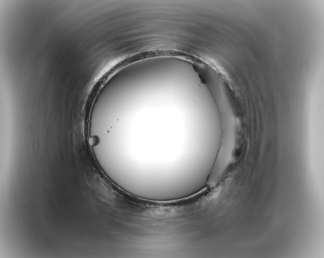 X0000086920877200704301055