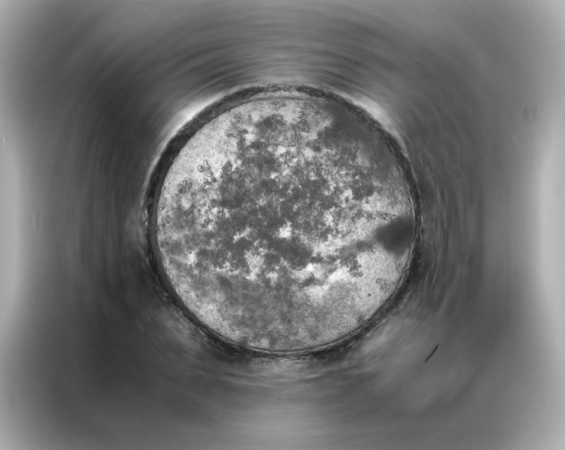 X0000086920879200704301055