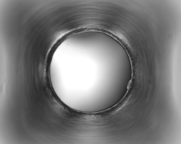 X0000086920880200704301055
