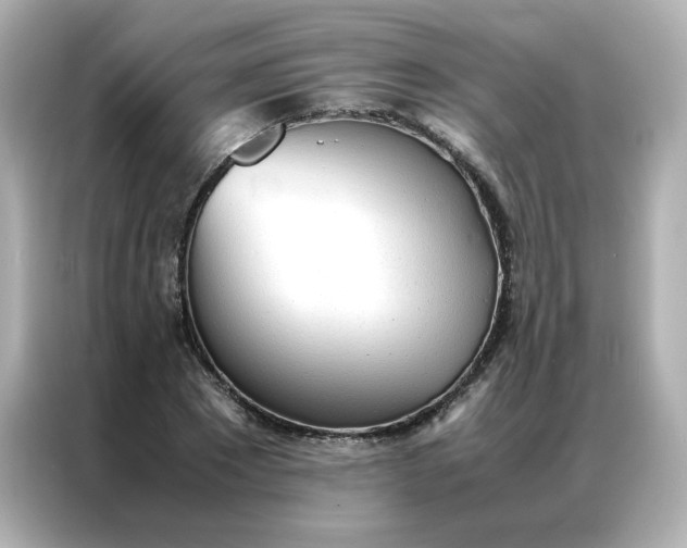 X0000086920881200704301055