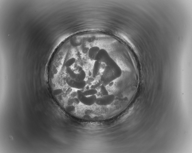 X0000086920883200704301055