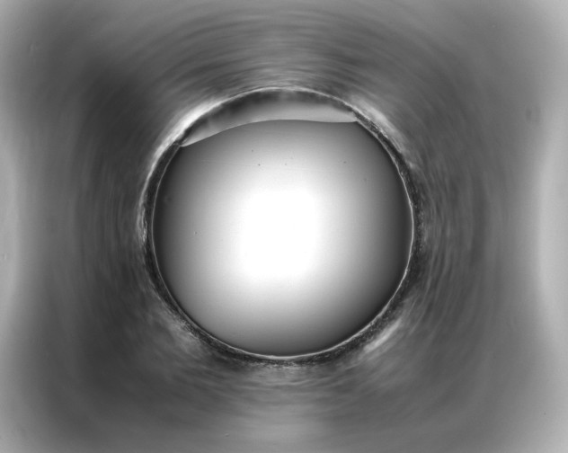 X0000086920885200704301055