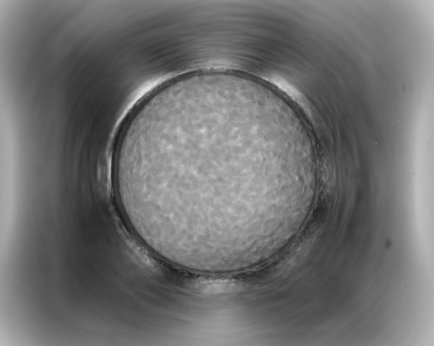 X0000086920886200704301055