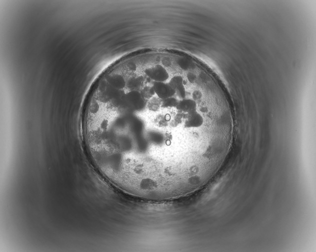 X0000086920887200704301055