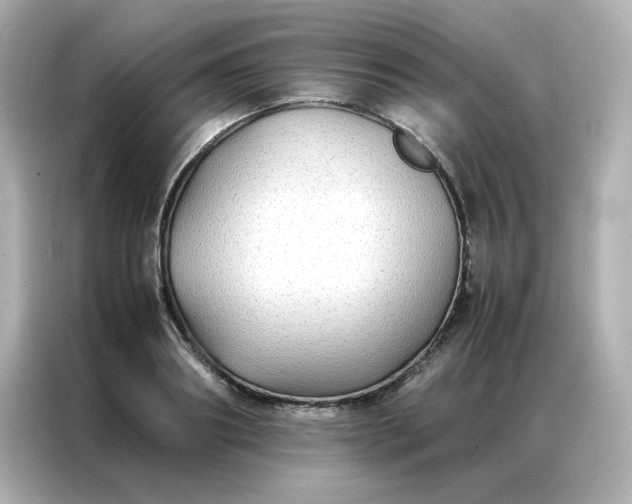 X0000086920890200704301055