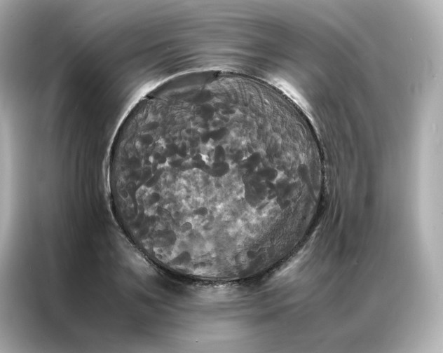 X0000086920891200704301055