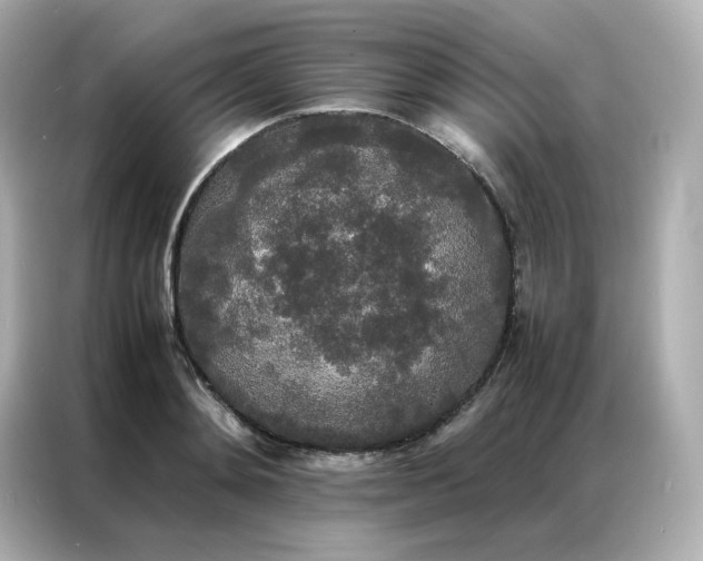 X0000086920892200704301055