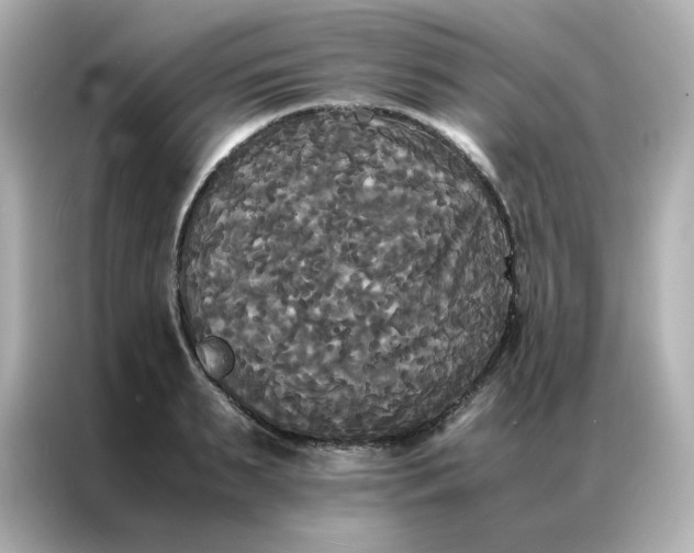 X0000086920895200704301055
